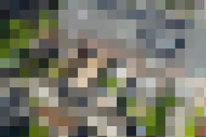Palmsuikerweg 6 Utrecht thumbnail 13