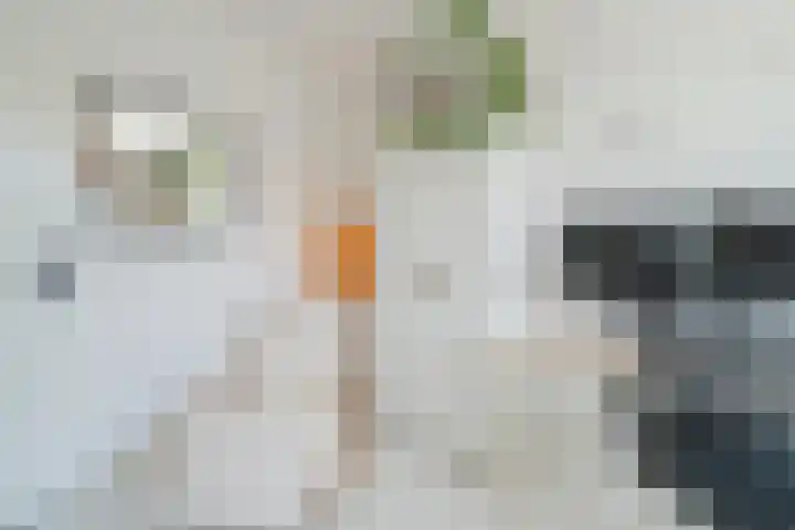 Palmsuikerweg 6 Utrecht thumbnail 31