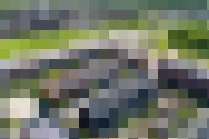 Palmsuikerweg 6 Utrecht thumbnail 54