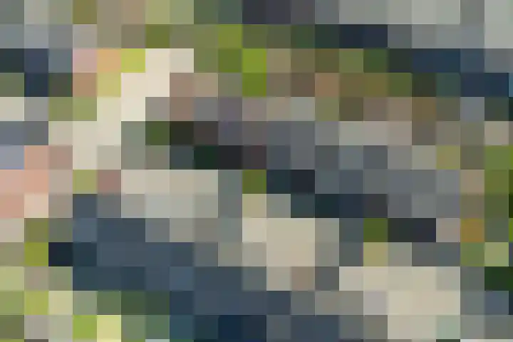 Palmsuikerweg 6 Utrecht thumbnail 55