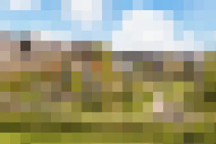 Palmsuikerweg 6 Utrecht thumbnail 57