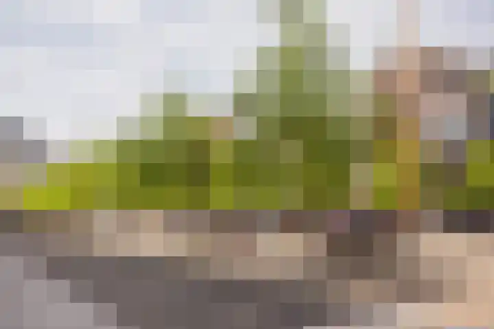 Palmsuikerweg 6 Utrecht thumbnail 60