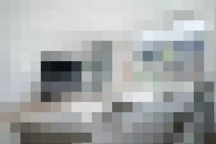 Palmsuikerweg 6 Utrecht thumbnail 8