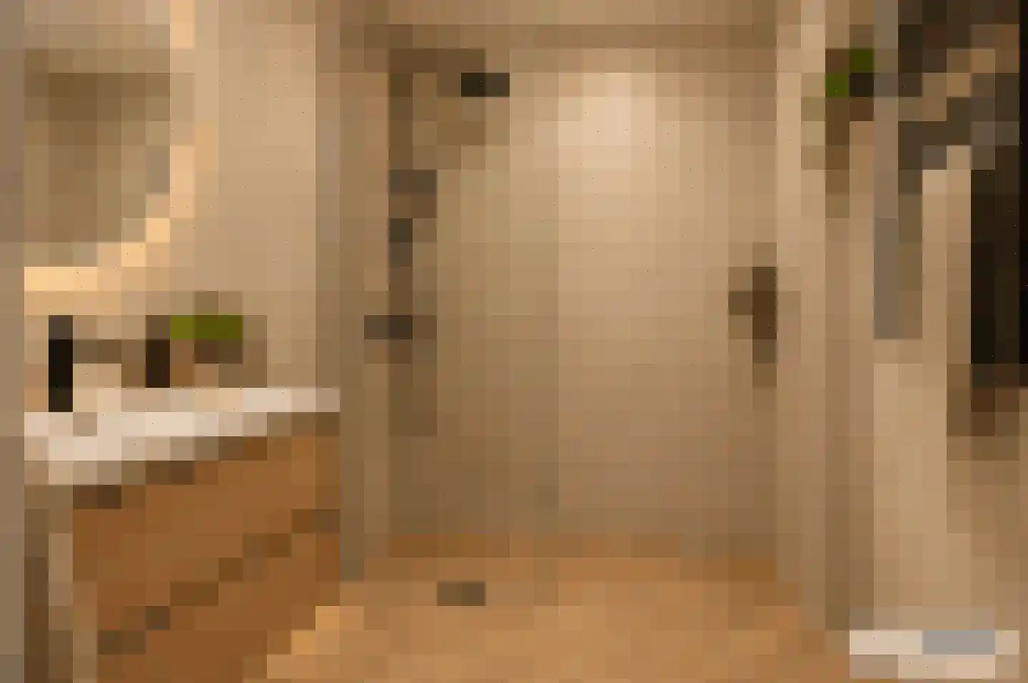 Palmweg 7 Doorn thumbnail 17