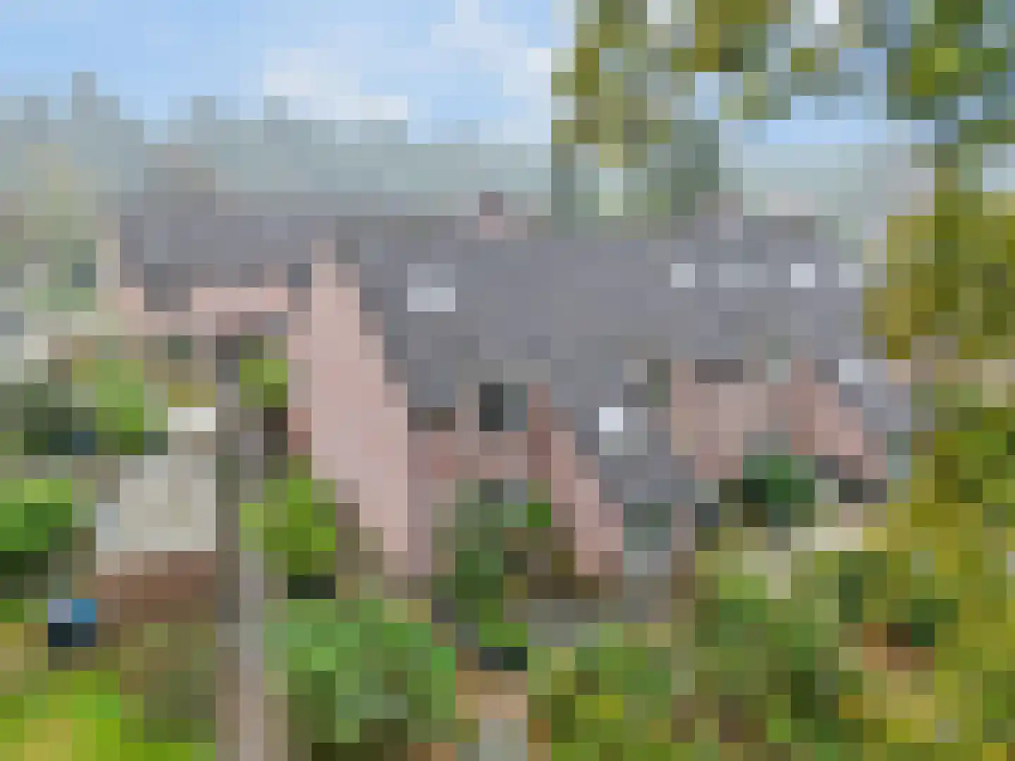 Palmweg 7 Doorn thumbnail 28