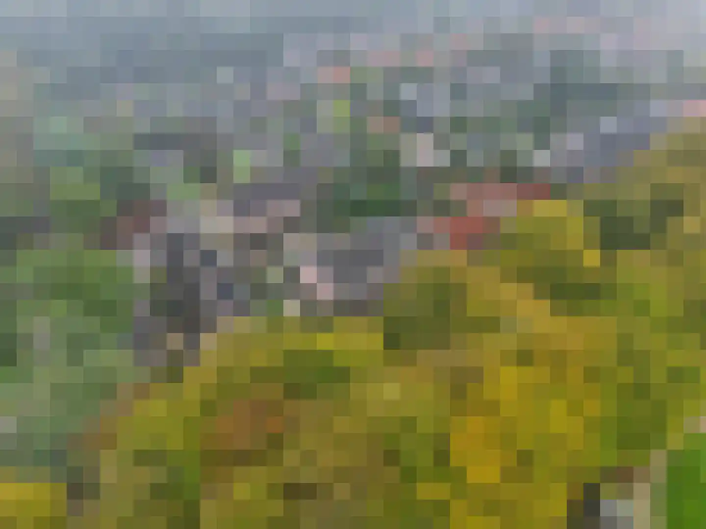 Palmweg 7 Doorn thumbnail 31