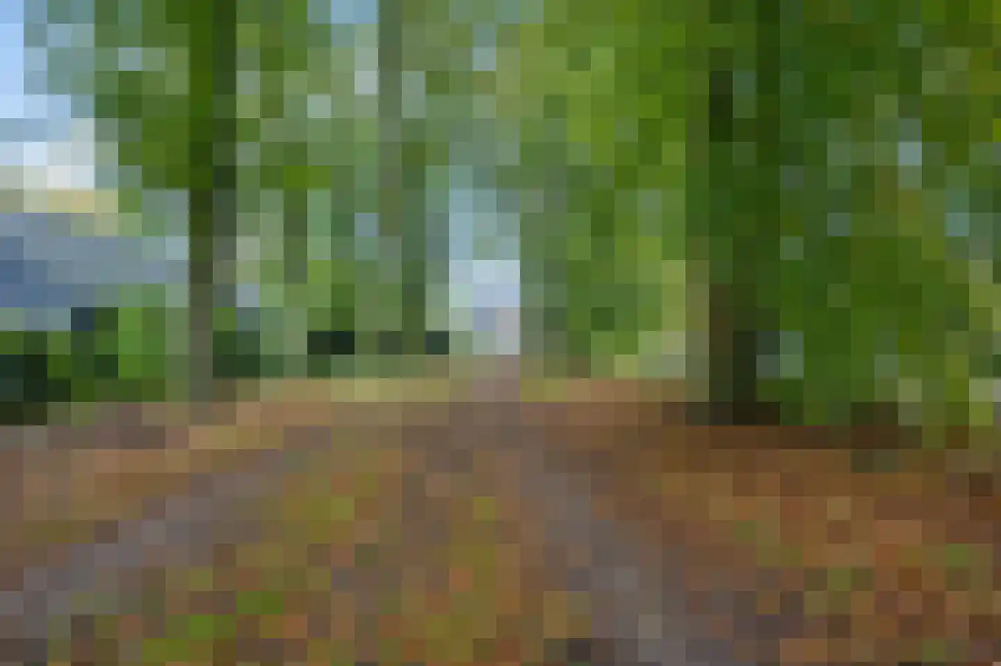Palmweg 7 Doorn thumbnail 32