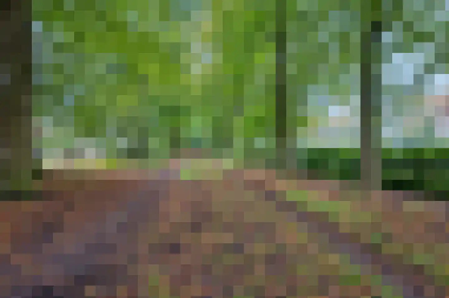 Palmweg 7 Doorn thumbnail 33