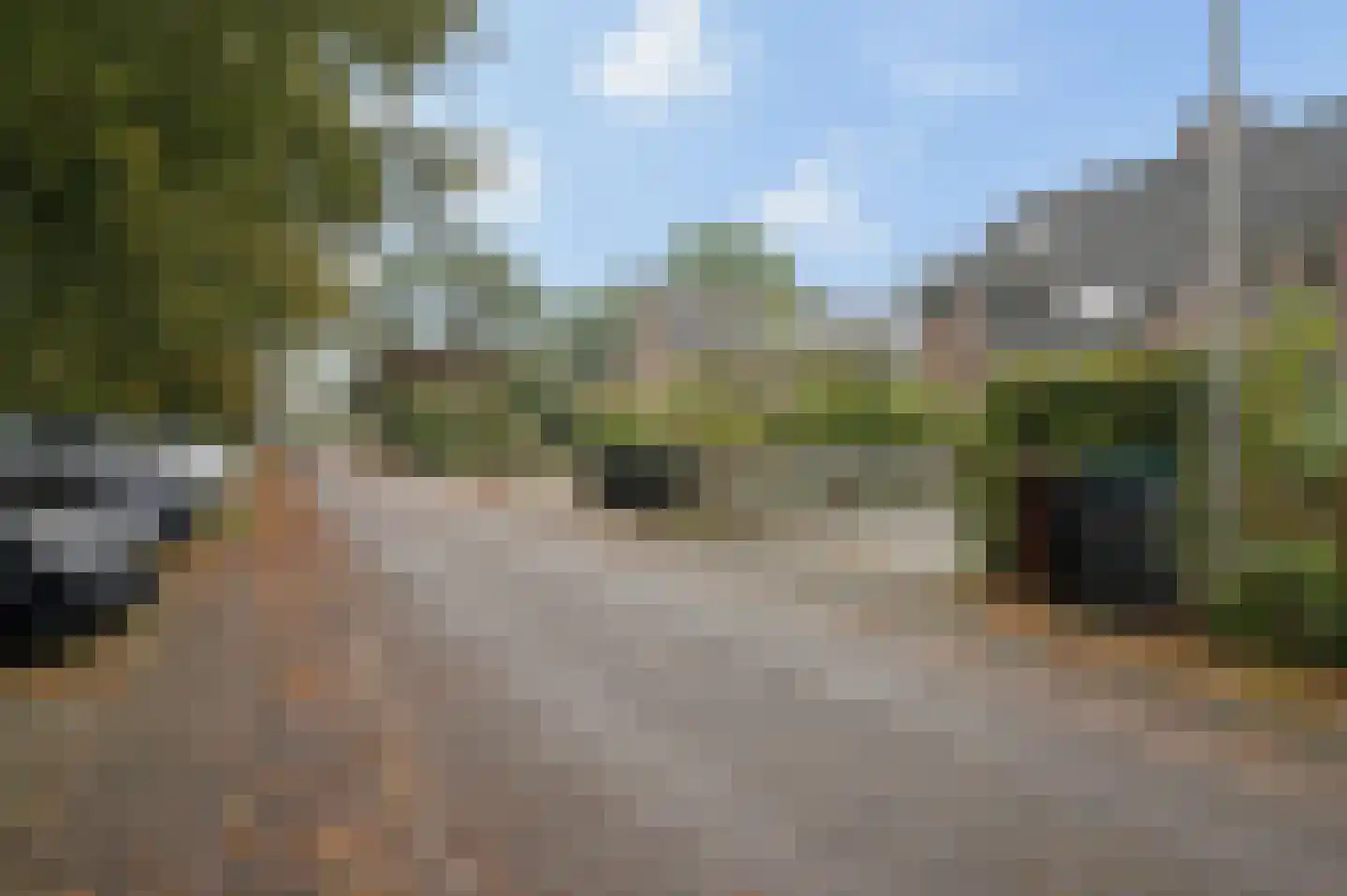 Palmweg 7 Doorn thumbnail 35