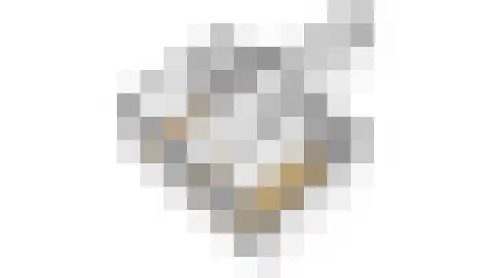 Palmyraplaats 100 Delft thumbnail 22