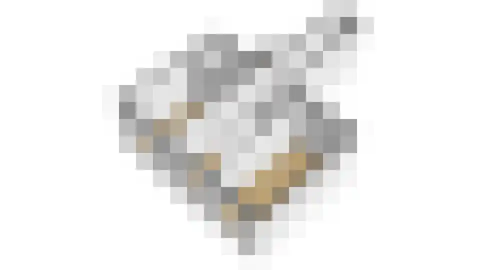 Palmyraplaats 100 Delft thumbnail 22