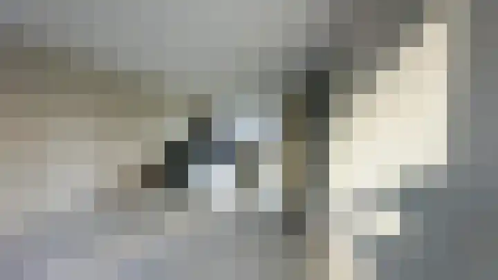 Palmyraplaats 100 Delft thumbnail 8