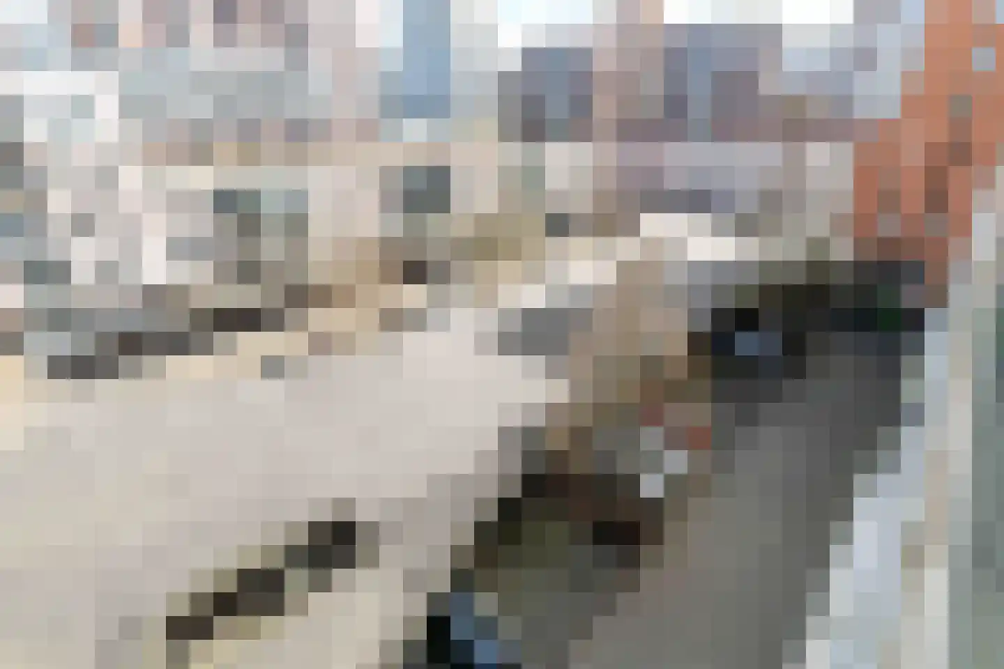 Palmyraplaats 158 Delft thumbnail 11