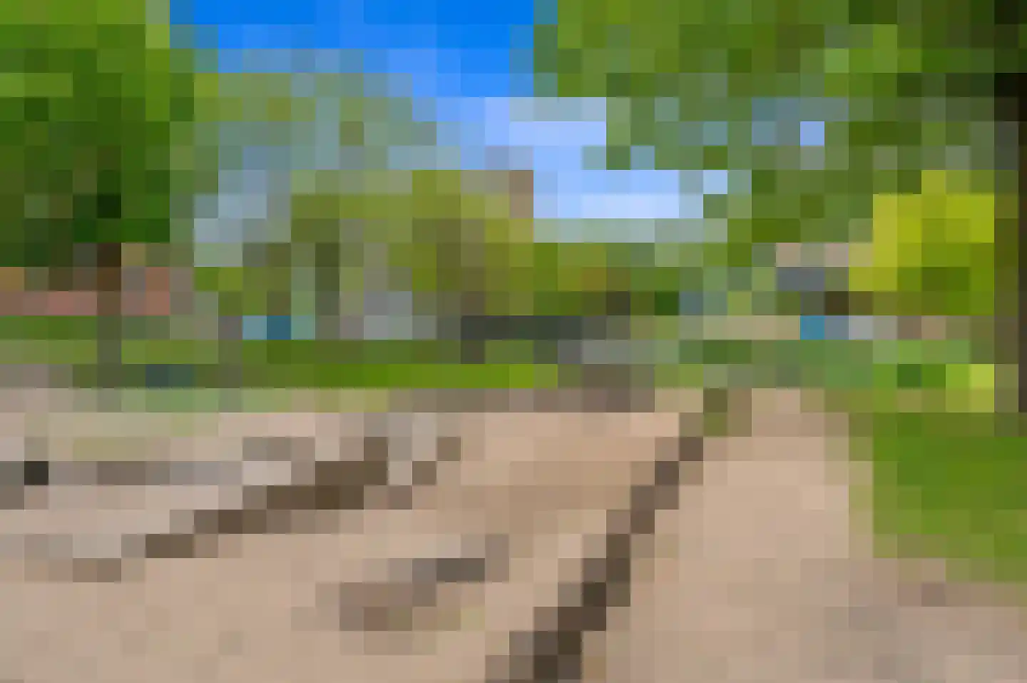 Palmyraplaats 82 Delft thumbnail 31