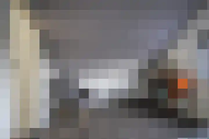 Pals 15 Westervoort thumbnail 37