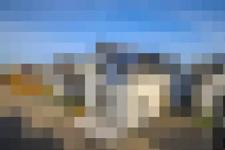 Pals 15 Westervoort thumbnail 38