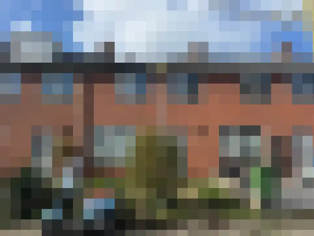 Pals 5 Westervoort thumbnail 11