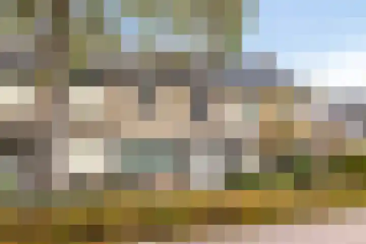 Pals 5 Westervoort thumbnail 26