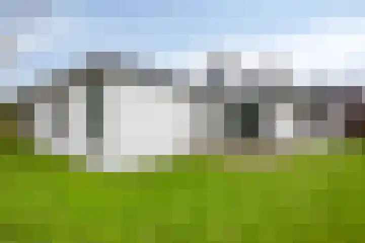 Pals 5 Westervoort thumbnail 28