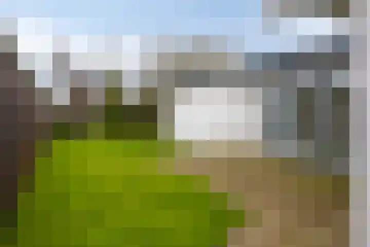 Pals 5 Westervoort thumbnail 29