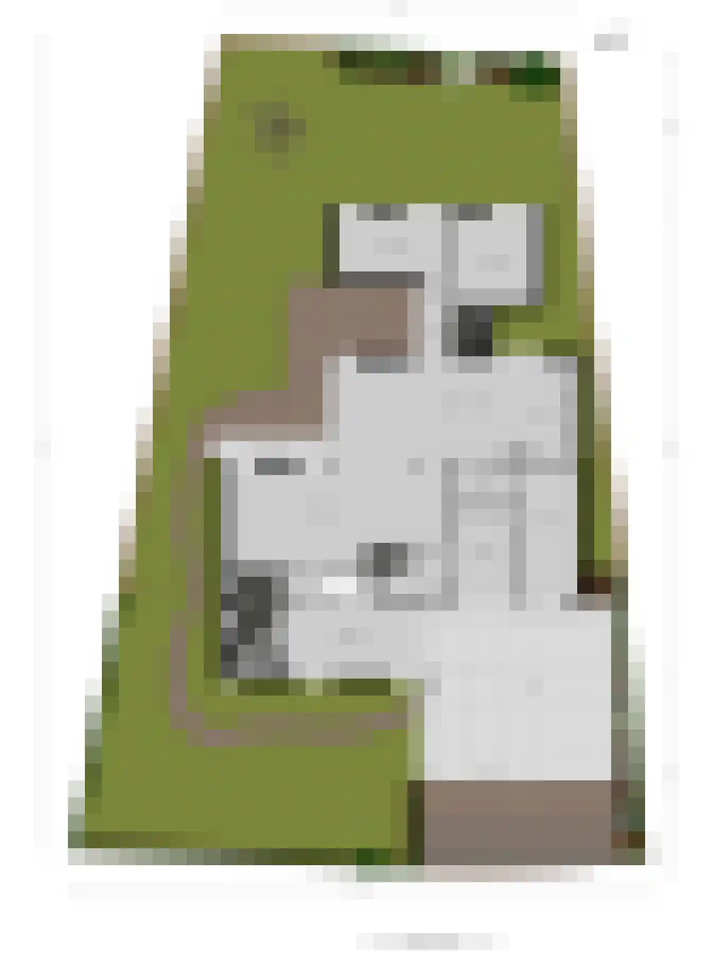 Pals 5 Westervoort thumbnail 33