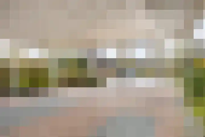 Pals 5 Westervoort thumbnail 4