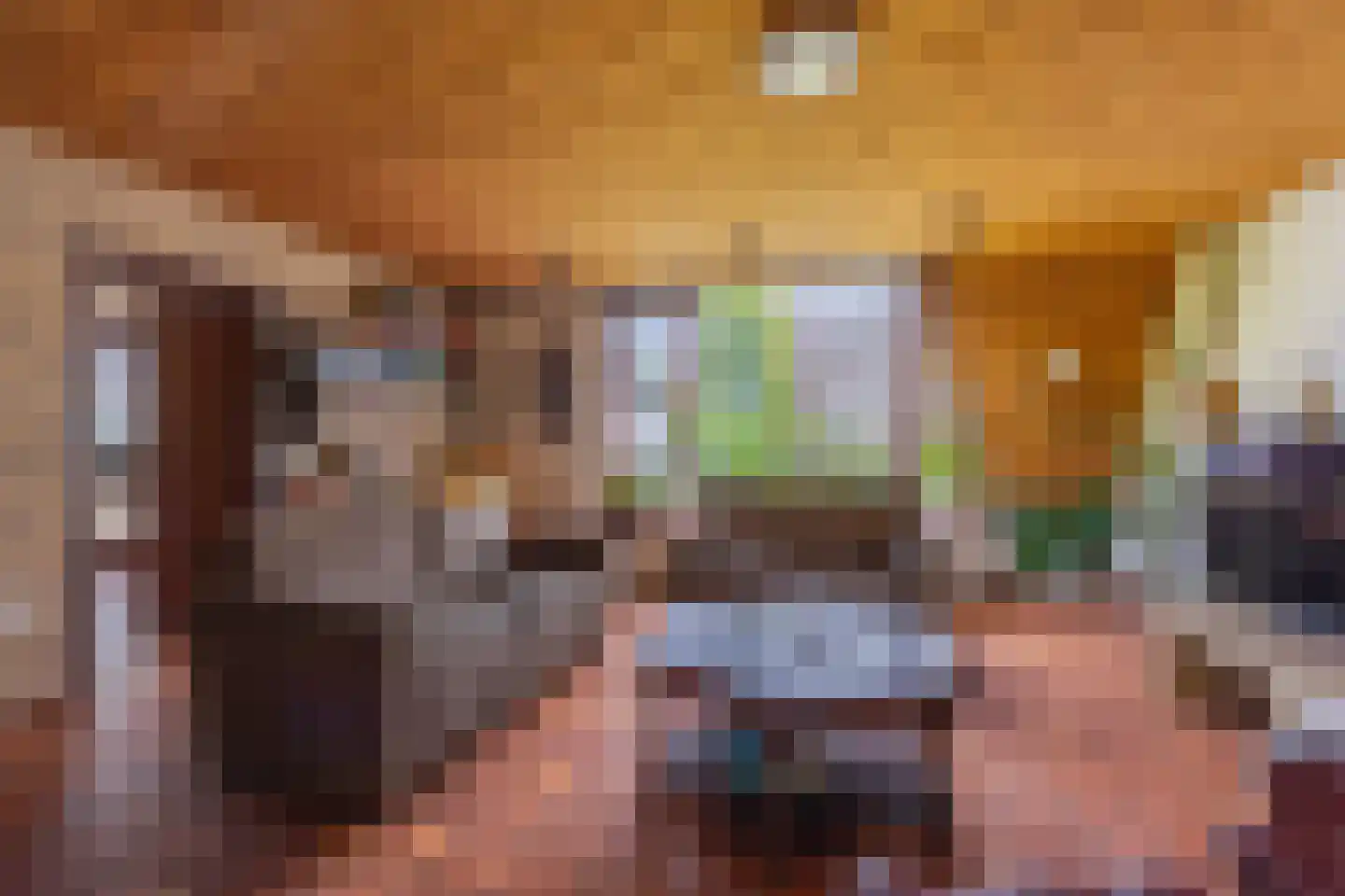 Pals 6 Westervoort thumbnail 17
