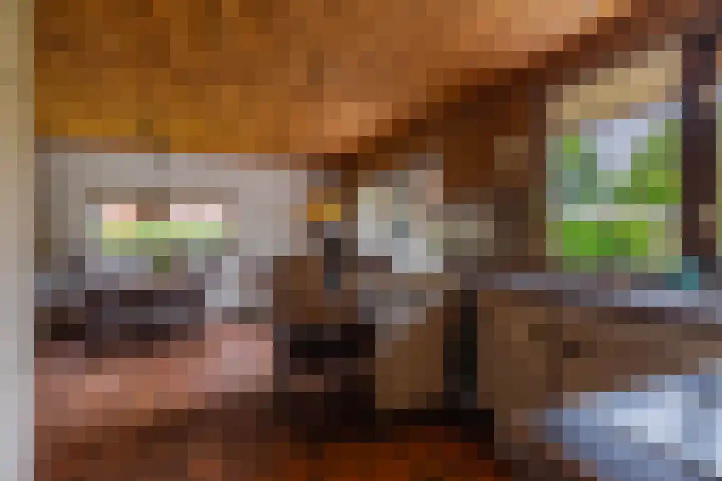 Pals 6 Westervoort thumbnail 21