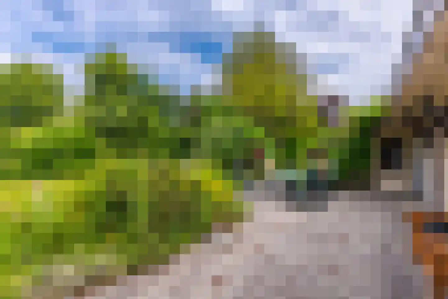 Pals 6 Westervoort thumbnail 24
