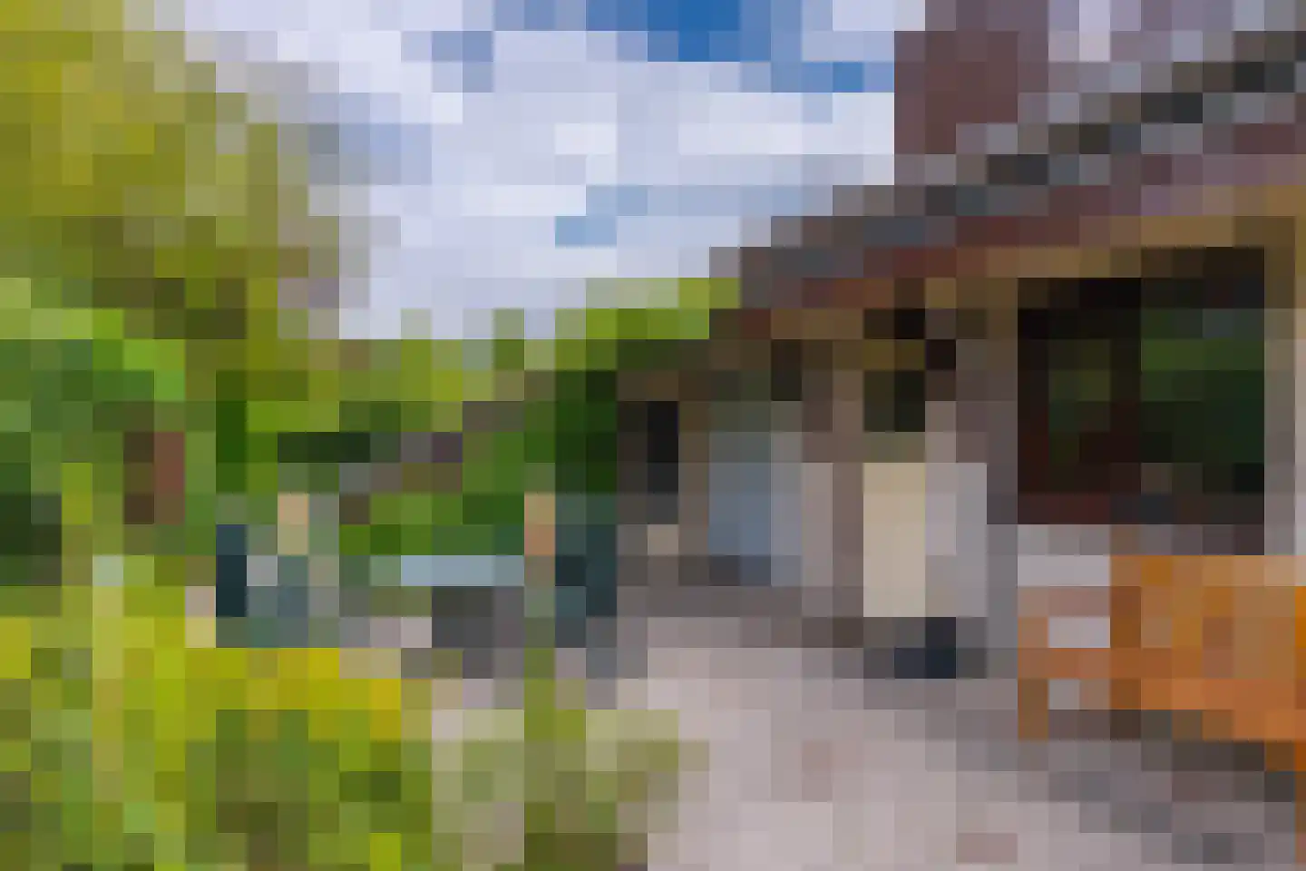 Pals 6 Westervoort thumbnail 25