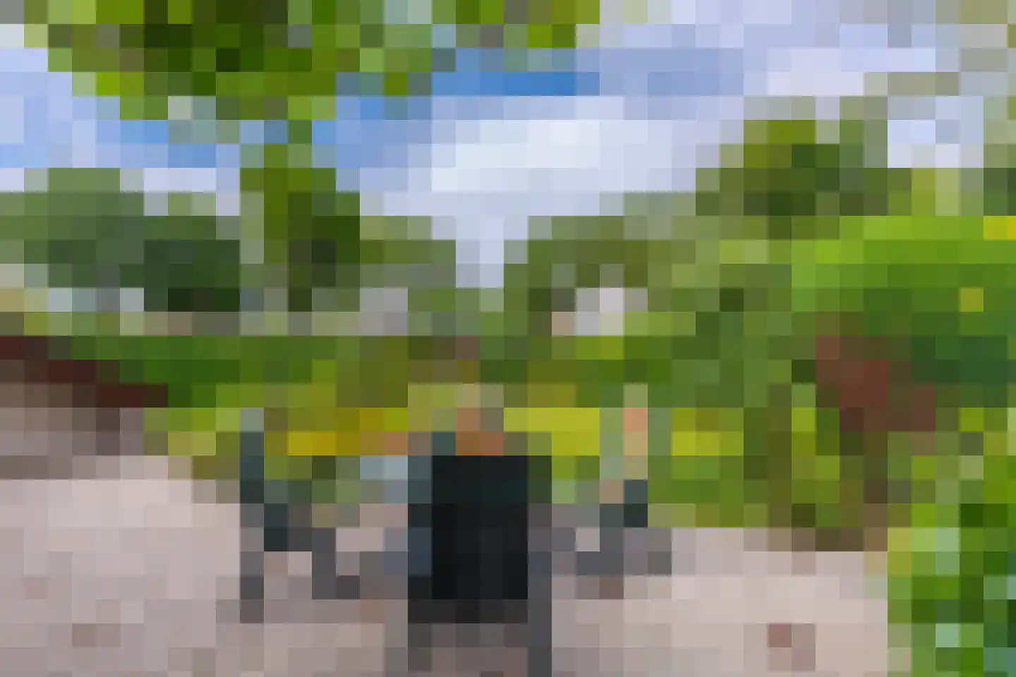 Pals 6 Westervoort thumbnail 26