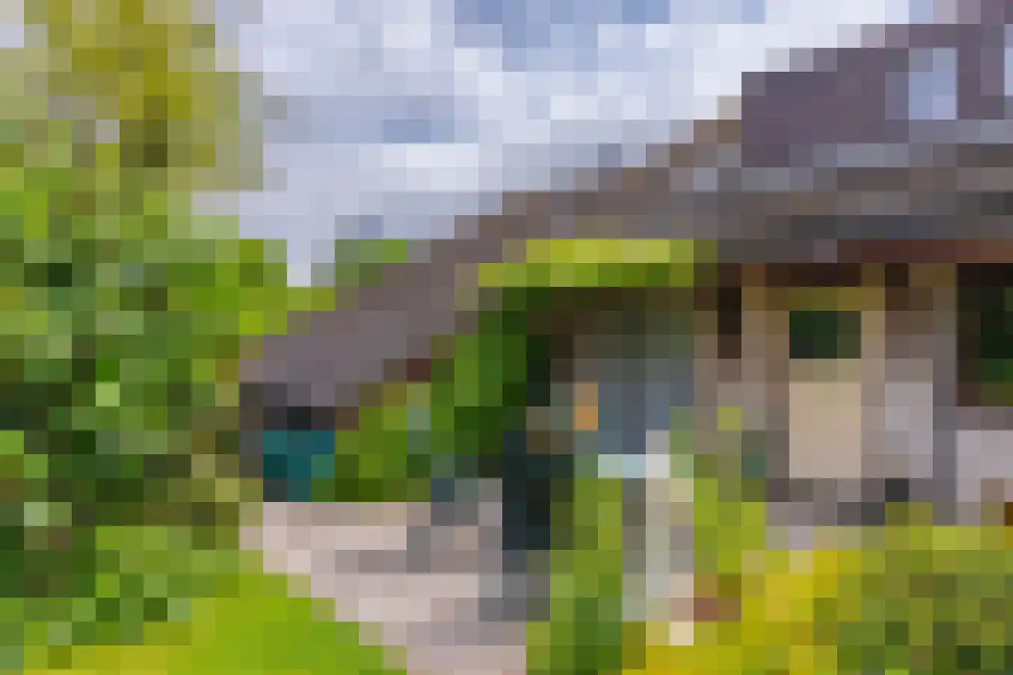 Pals 6 Westervoort thumbnail 27