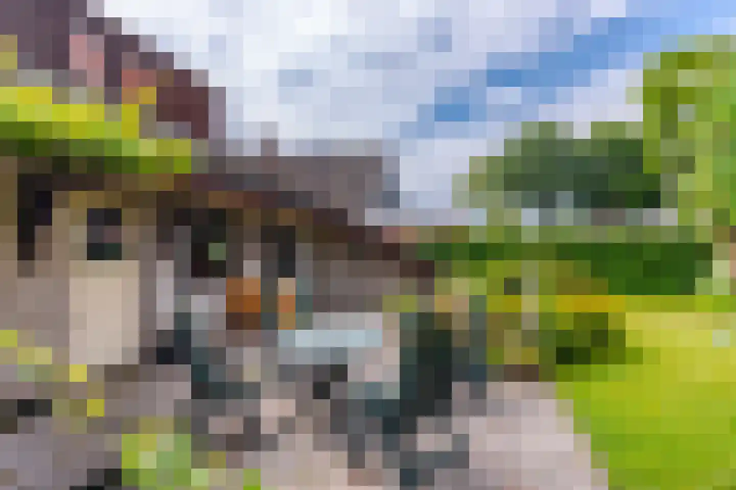 Pals 6 Westervoort thumbnail 28