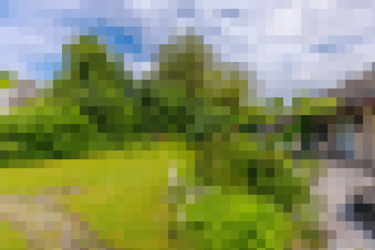 Pals 6 Westervoort thumbnail 29