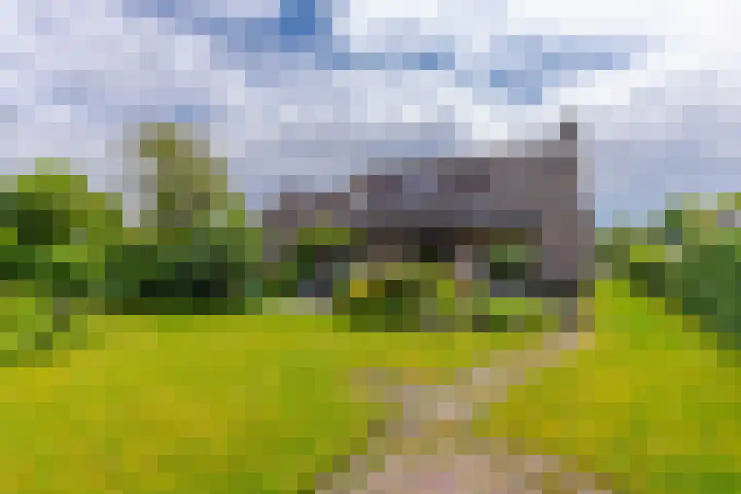 Pals 6 Westervoort thumbnail 30