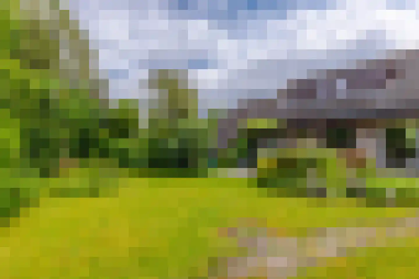 Pals 6 Westervoort thumbnail 31