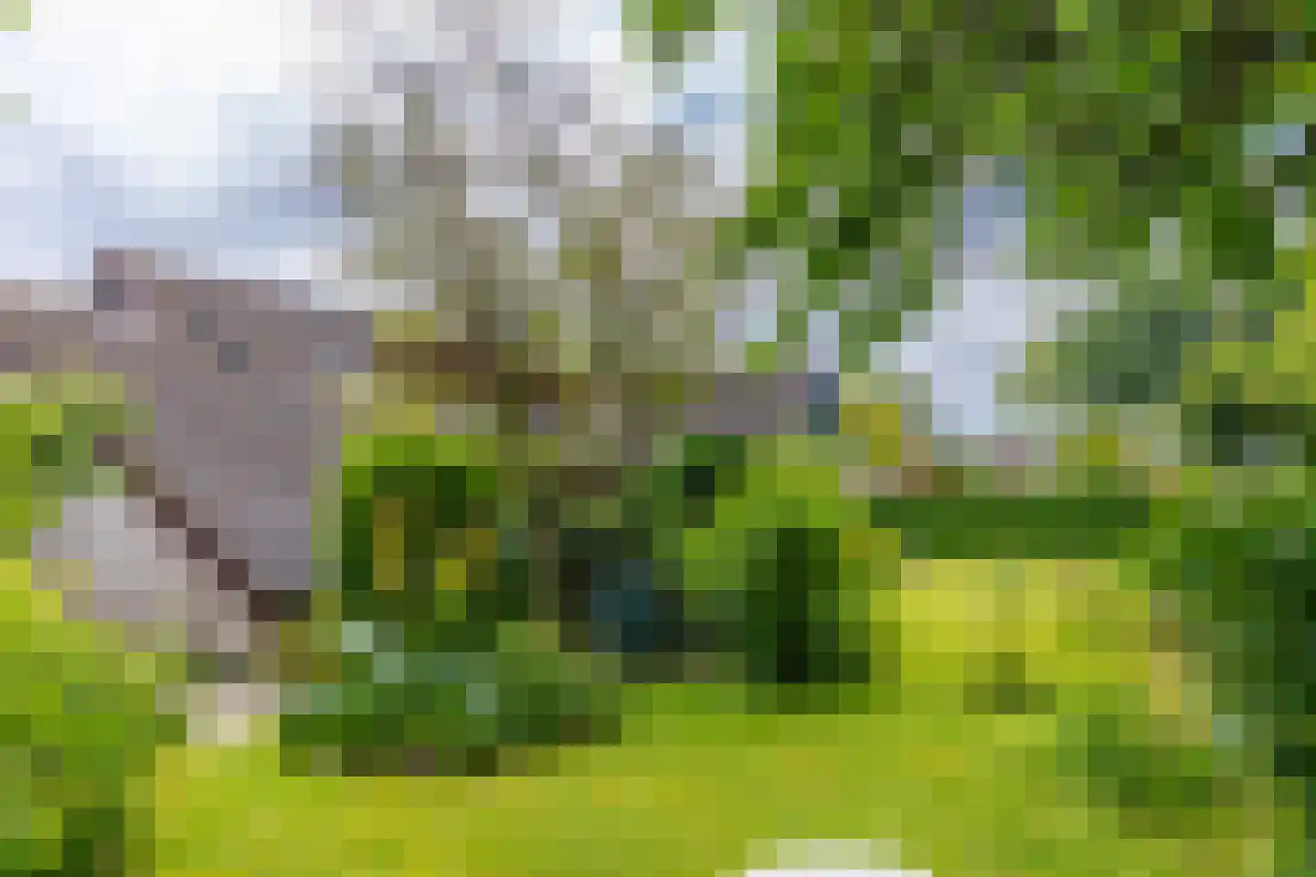 Pals 6 Westervoort thumbnail 33