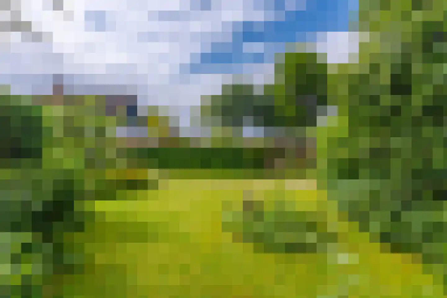 Pals 6 Westervoort thumbnail 34