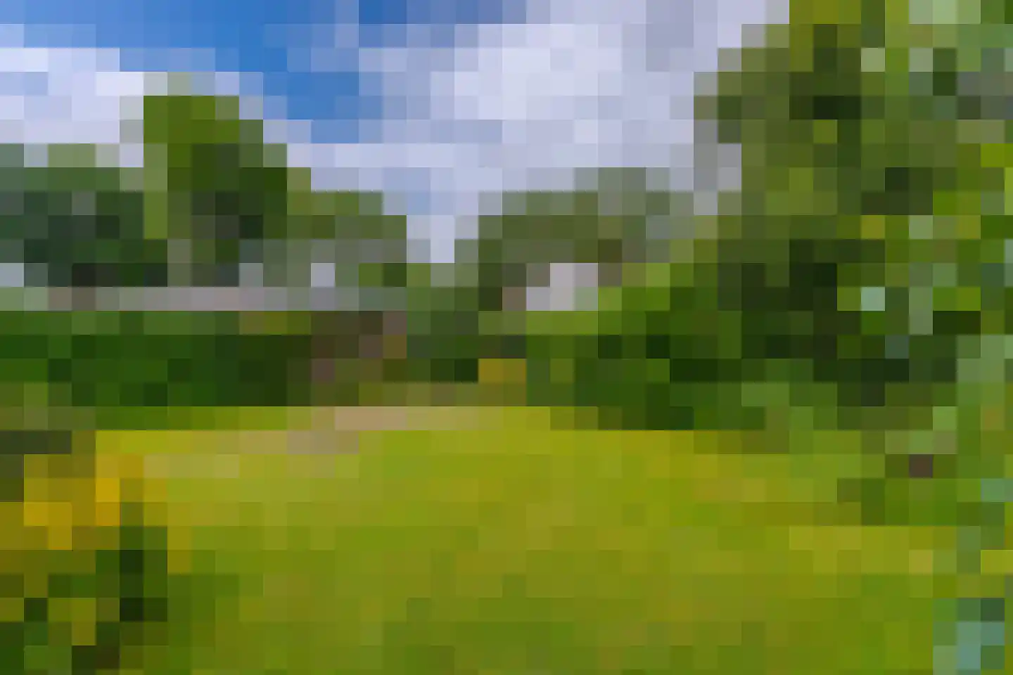 Pals 6 Westervoort thumbnail 35