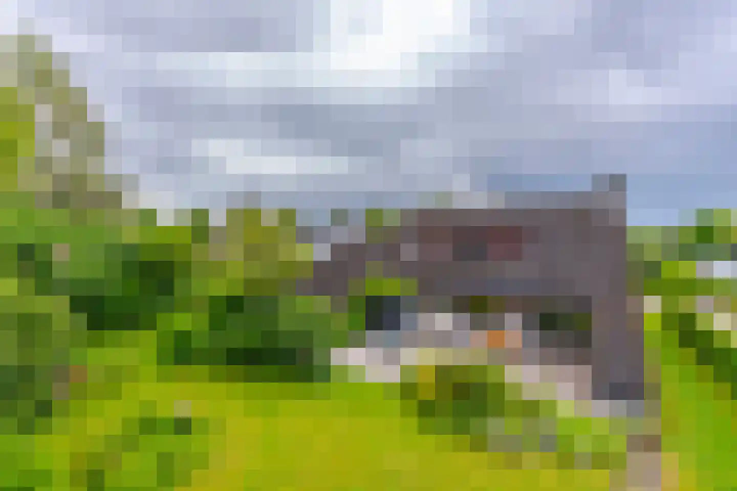 Pals 6 Westervoort thumbnail 4
