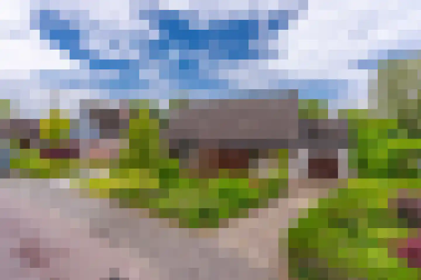 Pals 6 Westervoort thumbnail 5