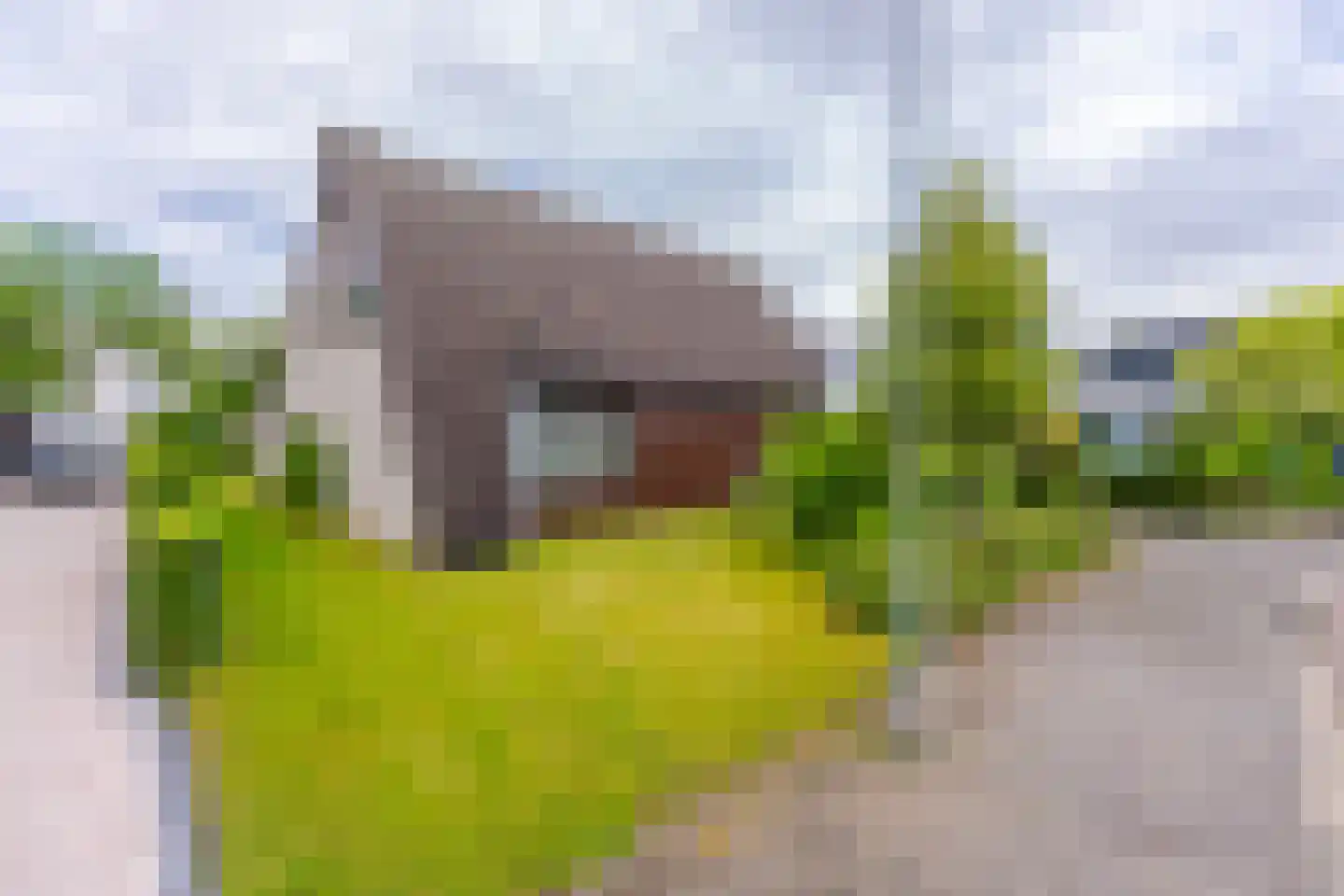 Pals 6 Westervoort thumbnail 6