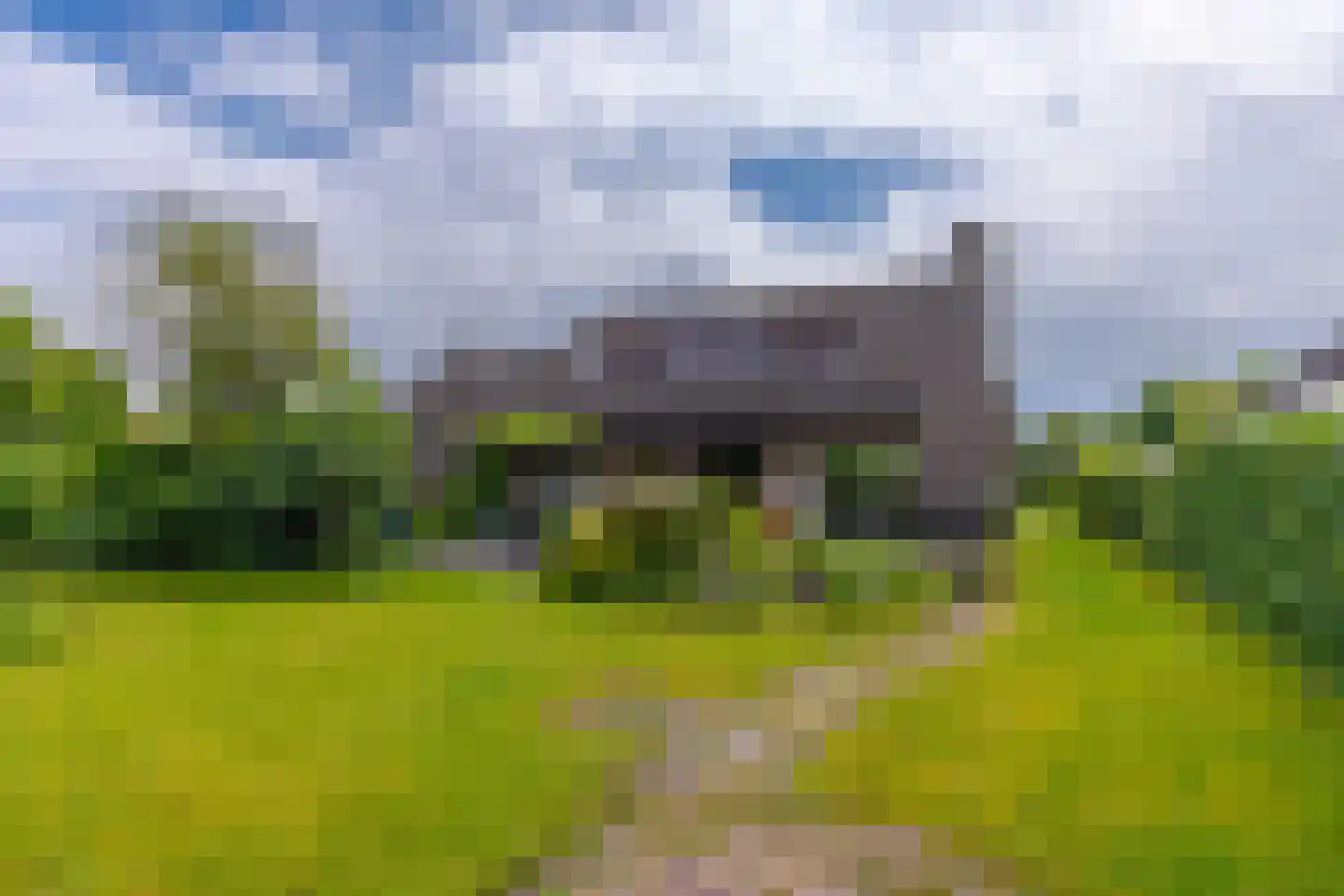 Pals 6 Westervoort thumbnail 8