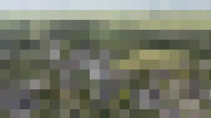 Pals 7 Westervoort thumbnail 5