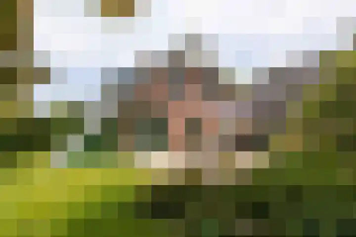 Pals 7 Westervoort thumbnail 53