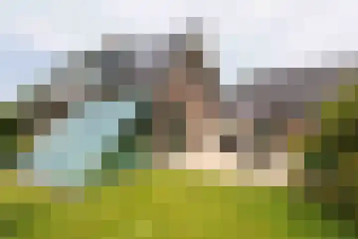 Pals 7 Westervoort thumbnail 57