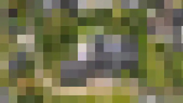Pals 7 Westervoort thumbnail 61