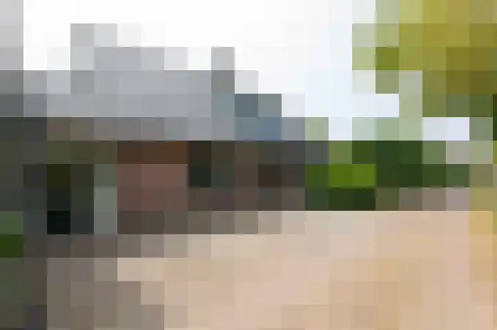 Pals 7 Westervoort thumbnail 62