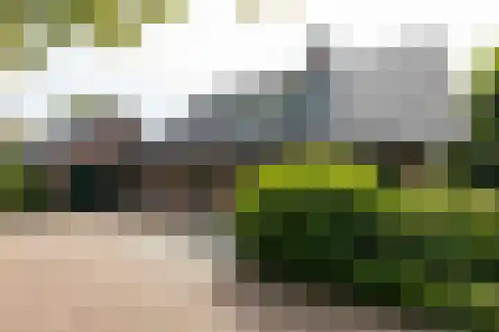 Pals 7 Westervoort thumbnail 63
