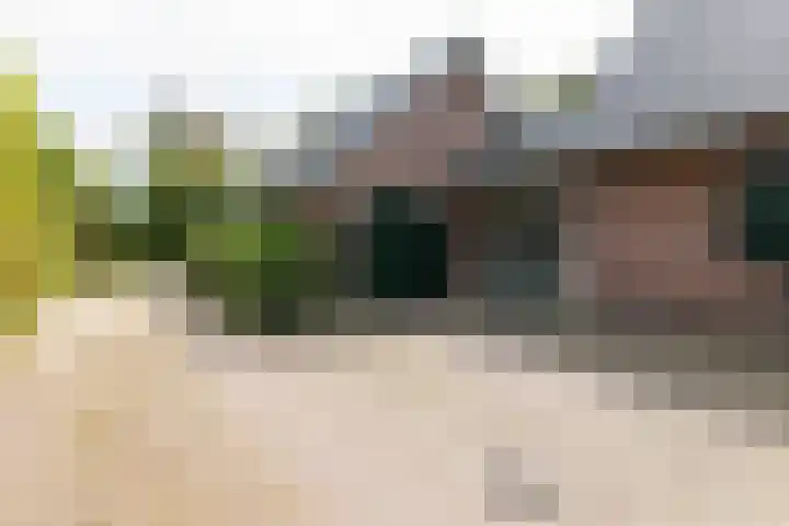 Pals 7 Westervoort thumbnail 64
